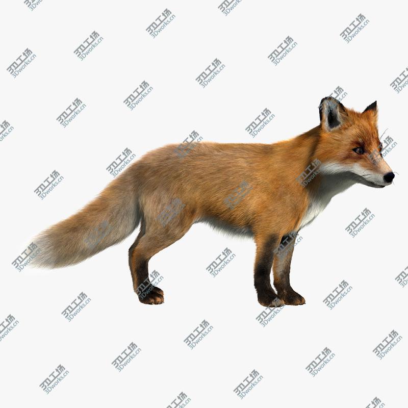 images/goods_img/2021040234/Fox (RIGGED) (FUR)/1.jpg